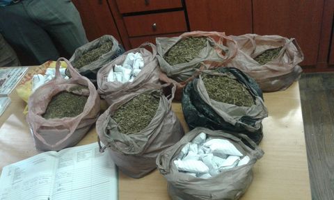 Drugs from the Seymour bust Drugs from the Seymour bust